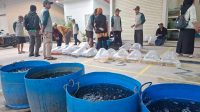 Pasar Benih Ikan Ciseeng